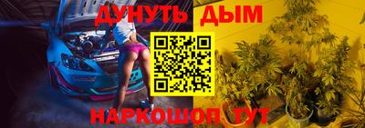 шишки Партизанск
