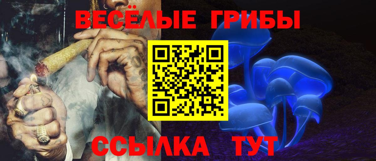 Галлюциногенные грибы мухоморы Санкт-Петербург