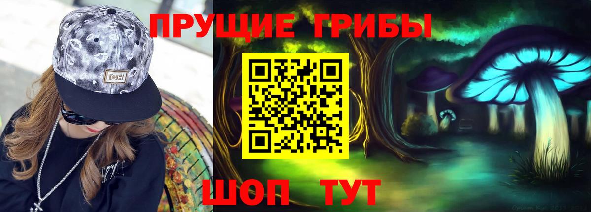 Галлюциногенные грибы GOLDEN TEACHER  Вход с VPN  Галлюциногенные грибы прущие грибы  Санкт-Петербург 
