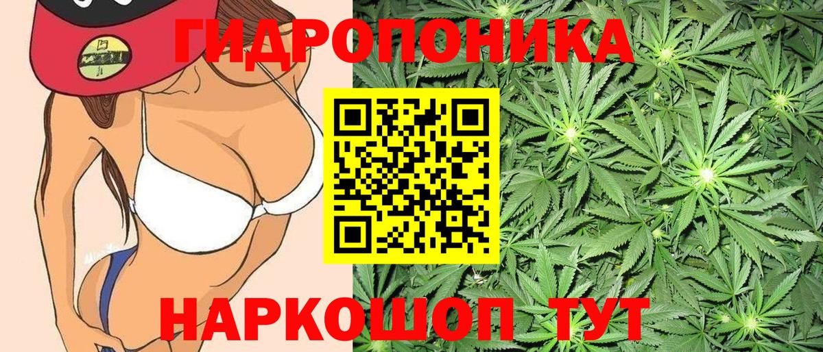 Бошки марихуана Amnesia  Конопля марихуана  Конопля White Widow  Вход с VPN  Санкт-Петербург  Конопля тримм 